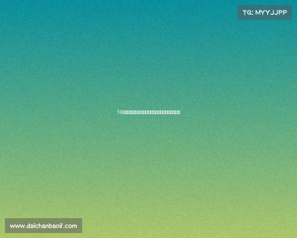 19岁挪威前锋琳娜·塞伦自由转会加盟狼女足开启新篇章 19岁挪威前锋琳娜·塞伦自由转会加盟狼女足开启新篇章