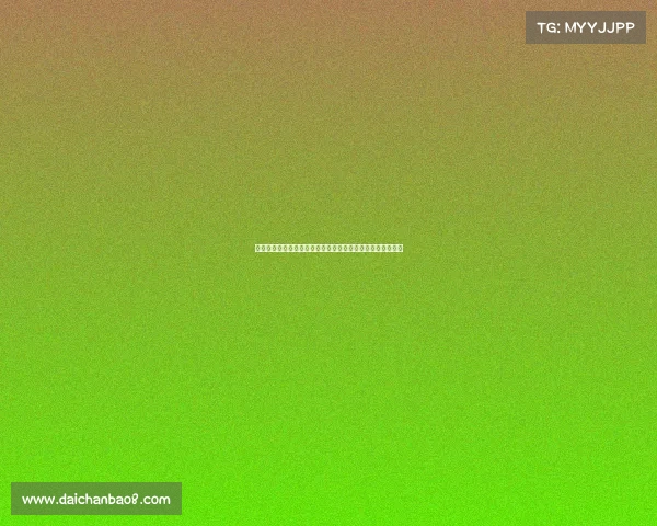 埃文弗格森抵达钱皮诺机场即将租借加盟罗马助力球队新赛季 埃文弗格森抵达钱皮诺机场即将租借加盟罗马助力球队新赛季