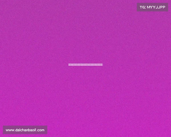 德甲足球文化探析：从球迷热情到球队精神的多维解读