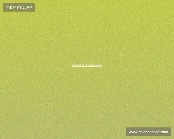 法甲精彩赛事即时比分直播全面分析与实时更新 法甲精彩赛事即时比分直播全面分析与实时更新