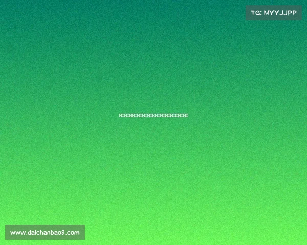 蒙古选手在国际传统弓术锦标赛中获得最高分创造历史新纪录